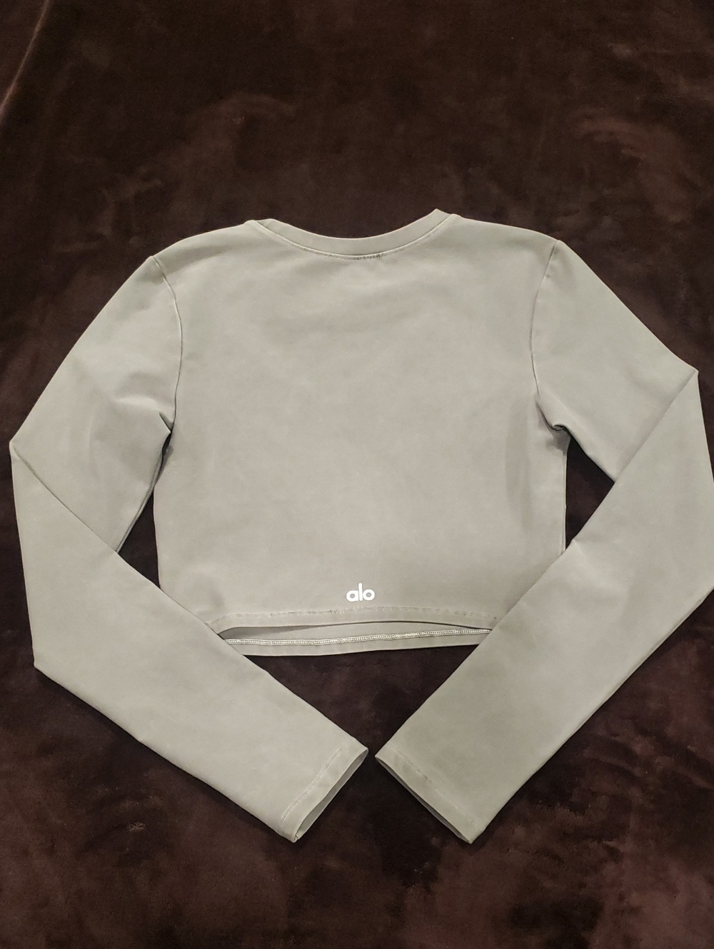 ALO Yoga Cropped Long Sleeve Top in Taupe